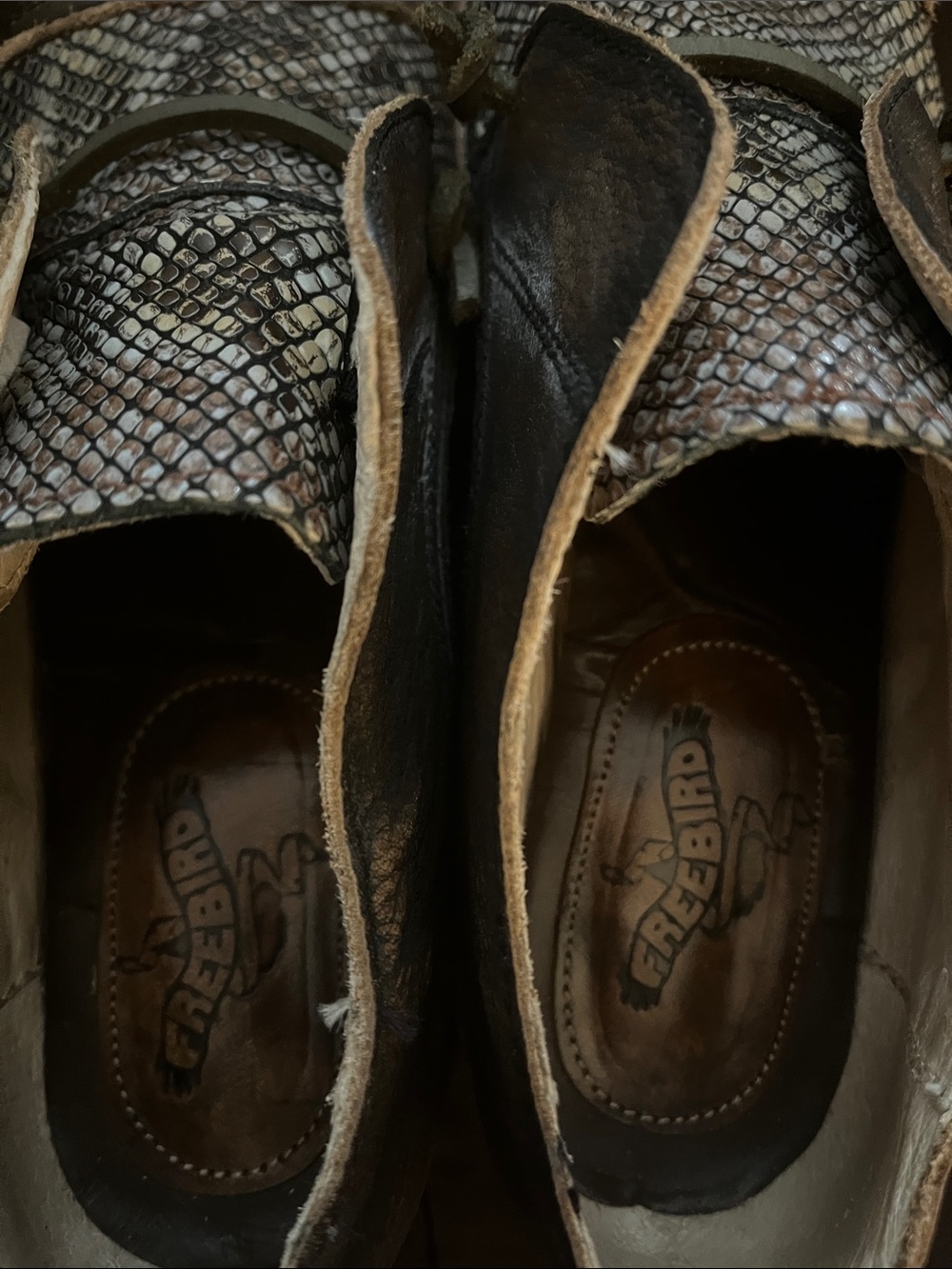 Freebird by Steven Black and Brown Snake-Print Ankle Booties - Picture 3 of 4